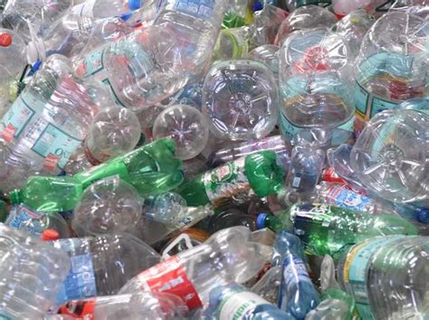 Los datos que no sabías sobre el reciclaje de las botellas plásticas - Araucanía Noticias Temuco