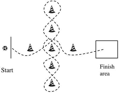 Frontiers | Fundamental Motor Skills Mediate the Relationship Between Physical Fitness and ...