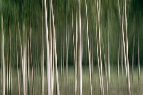 Discover 7 Abstract Landscape Photography Art Examples– Angela Cameron