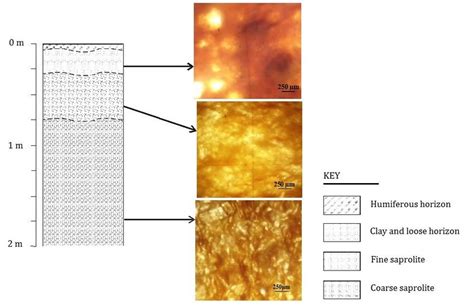 Macroscopic and microscopic organization of soil profile in Secande ...