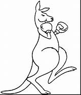 Kangaroo Cartoon Coloring Page Pages sketch template