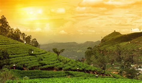 70 Best things to do in Kerala for 2019 (With Photos) - Iris Holidays