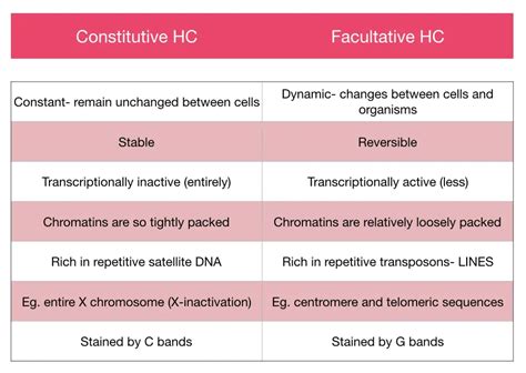 What is Heterochromatin?- Constitutive and Facultative Heterochromatin Explained – Genetic Education