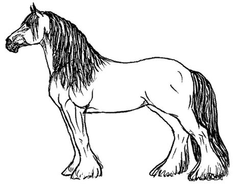 Printable Horse Breed Coloring Pages & book for kids.