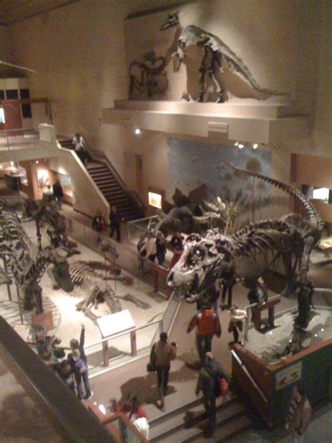 Smithsonian Museum of Natural History My Favorite Dinosaurs Eli Whitney, Fossil Museum, Dinosaur ...