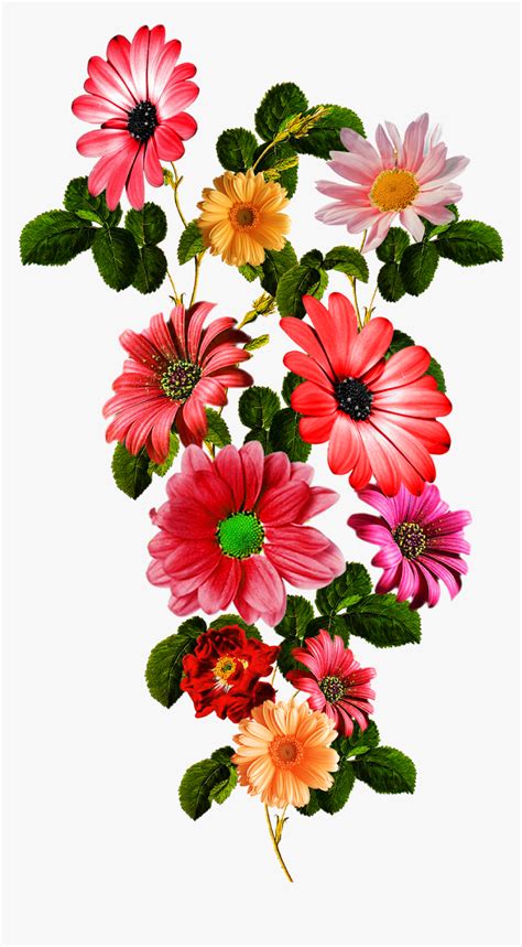 Vector,flower,vector Art,flower Vector,vector Flower - Flowers Vector ...