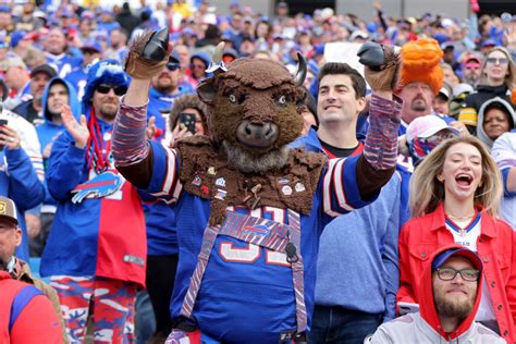 Buffalo Bills fans aren’t superstitious, but they are a little stitious - newyorkupstate.com