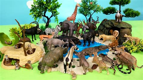 Wild Animal Dioramas