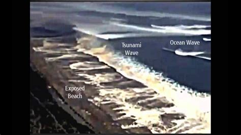 What is Tsunami Drawback? -- Will Bond - YouTube