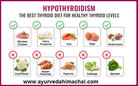 10 Best Hyperthyroid Diet And Exercise For Hyperthyroidism