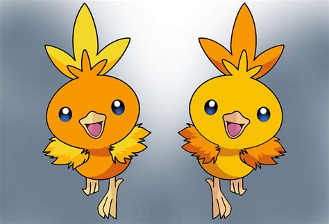 torchic shiny reflection by Thunderwest on DeviantArt