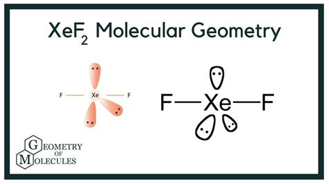 XeF2 Molecular Geometry, Bond Angles & Electron Geometry | Molecular ...