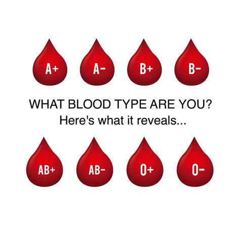 What Your Blood Type Reveals About Your Personality