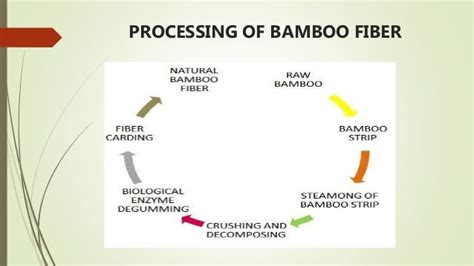 Bamboo fiber