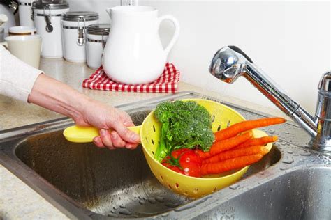 Vegetables in the sink stock image. Image of agriculture - 109658219