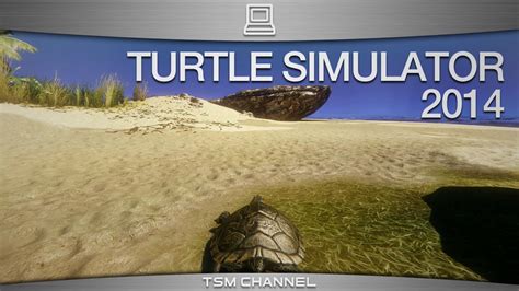 Turtle Simulator 2014 Gameplay (1080p HD) - YouTube