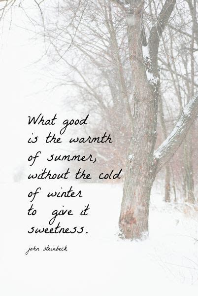 25 Cute Cold Weather Quotes | QuotesHumor.com