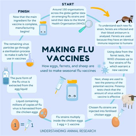 How are flu vaccines made?