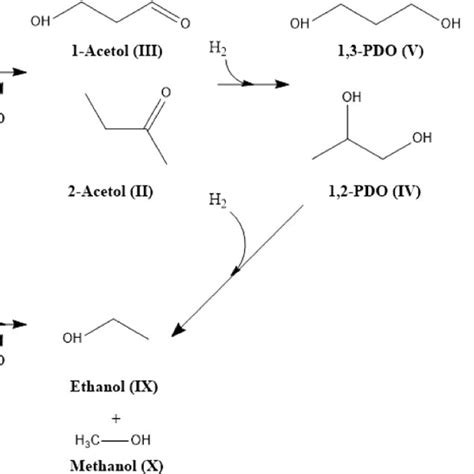 Reaction mechanism for selective glycerol hydrogenolysis. 13 Adapted... | Download High-Quality ...