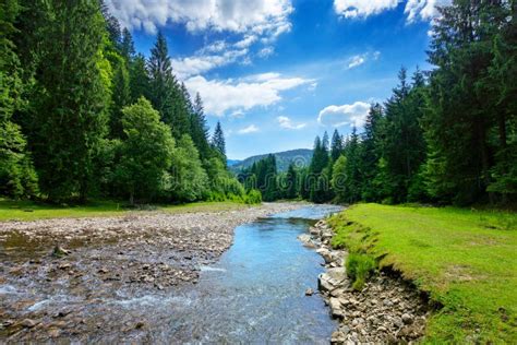 River in the Mountain Landscape. Beautiful Nature Scenery with Water Flow among the Forest Stock ...