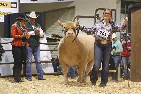 San Antonio Stock Show & Rodeo show helps students reach college goals