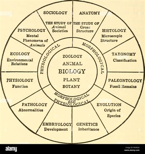 . Animal biology. Biology; Zoology; Physiology. 4 ANIMAL BIOLOGY ...