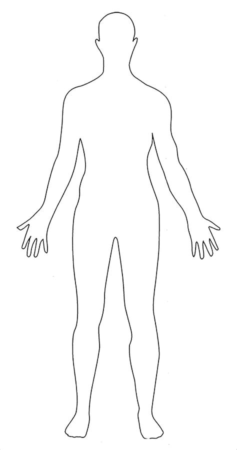 Outline Of A Human Body Printable - vrogue.co