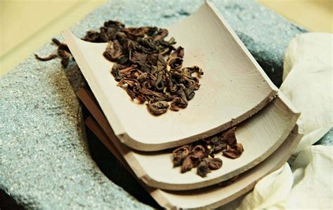 Eucommia Tea Benefits, Uses, And Precautions | Stethostalk