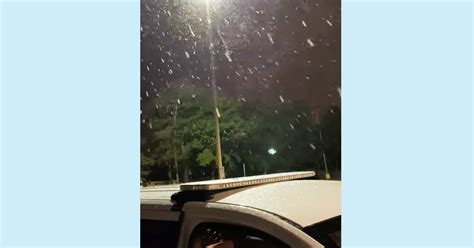 Snow Falls in Florida — Yes, Florida — in Rare Cold Snap