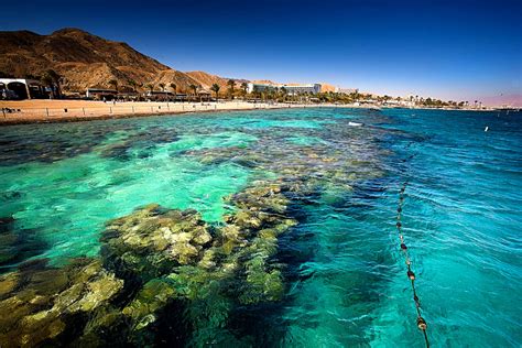 Top Attractions in Eilat | Bein Harim Tours