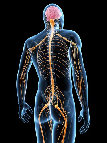 Neuromuscular Disorders - Neuro Doctors