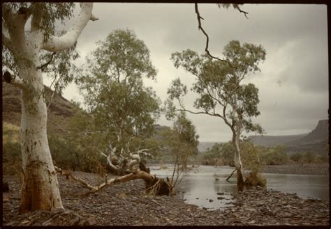 Betty Foster and other MMA crew members at Wittenoom and Wittenoom Gorge. - JPG 123.5 KB