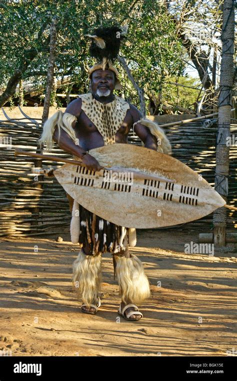 Zulu chief with spear and shield, Shakaland, South Africa Stock Photo - Alamy