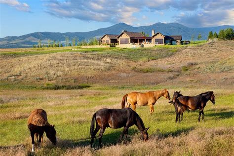 STOCKFARM - Locati Architects & Interiors | Bozeman, Big Sky Architects