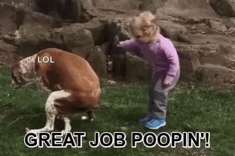 "Dog Great Job GIF" – "Dog Great Job Poop" – знаходьте анімації GIF і діліться ними