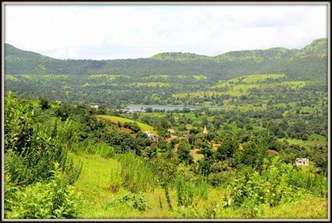 Greenery Enroute - Picture of latur city, Maharashtra, Lavasa - TripAdvisor