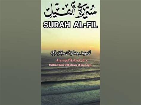 Recitation Of Surah Al-Fil/تلاوة سورةالفيل#youtubeshorts #viral #shorts ...