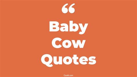 9+ Eye-Opening Baby Cow Quotes That Will Inspire Your Inner Self