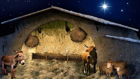 Nativity Stable backdrop - Mybackdrop.co.uk