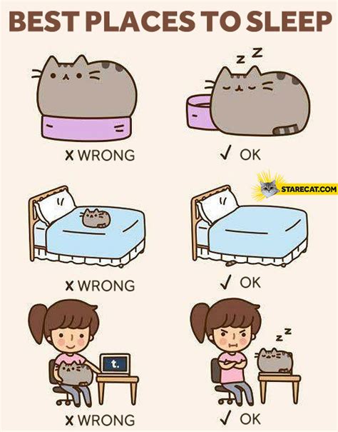 Funny Pusheen Cat Memes