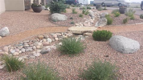 Why You Should Consider Xeriscaping - Paradise Outdoor Landscaping