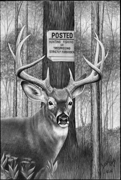 Pin by Monica Lovett on DEER DRAWINGS | Hunting drawings, Deer drawing, Hunting art