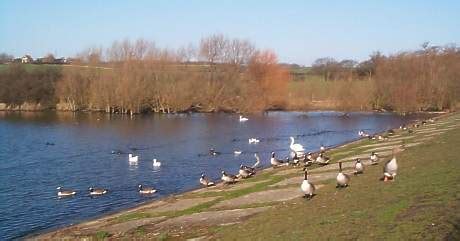 Abberton Reservoir Visitor Centre | Places to Visit | Countryside Classroom