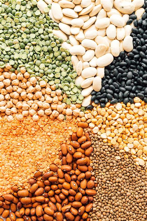 What Are Legumes? Types, Nutrition, and Cooking! | Live Eat Learn