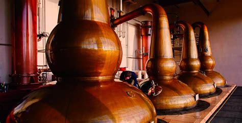 Tour The Unique GlenDronach Distillery in Aberdeenshire