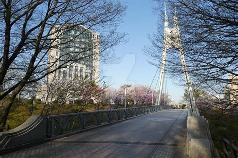 Soka University Campus - Sakura by Xedok on DeviantArt