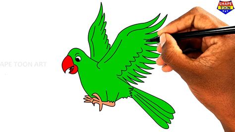 How to draw flying parrot drawing for kids easy step by step - Parrot drawing step by step ...