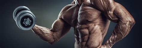 Best Supplements to Get Ripped and Build Muscle - The Muscle Expert