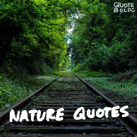 51+ Best Nature Quotes to Inspire Your Day - QuoteBold