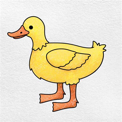 Duck Drawing for Kids - HelloArtsy